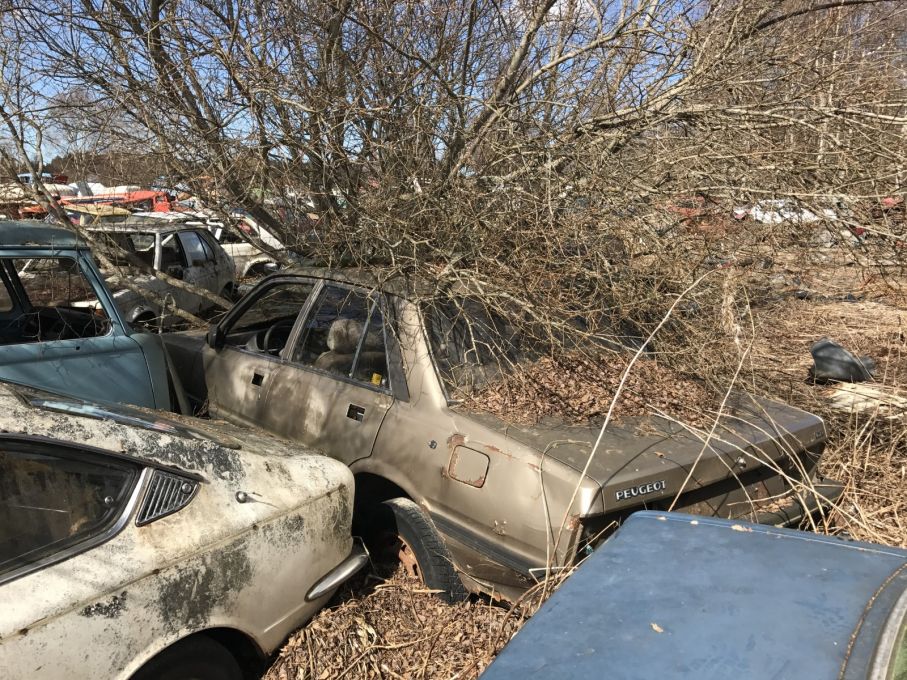 En Peugeot 505 möter en Corolla Sprinter. Beståndet speglar bilparken i Finland från 1960- till 1990-tal.