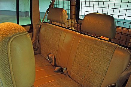 Okej, jag erkänner. Jag är en rätt beige typ! Varför är inte dagens nackstöd lika mulliga? Efter fälgarna är jag mest nöjd med att ha köpt det här lastgallret med tillhörande nackstöd.