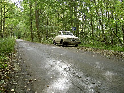 Min egen orkidévita V4 1976./Daniel, Trollhättan.
