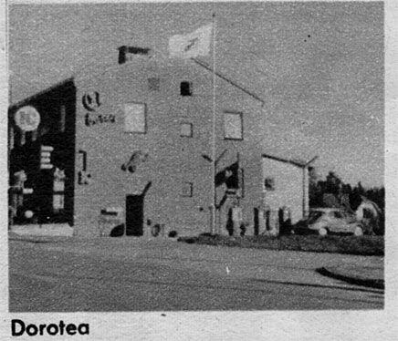 Dorotea
