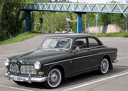 Jeg vedlegger en Amazon, fanget på Hauketo stasjon i Oslo 3. juni 2006. Hans-Petter Lyshaug, OSLO