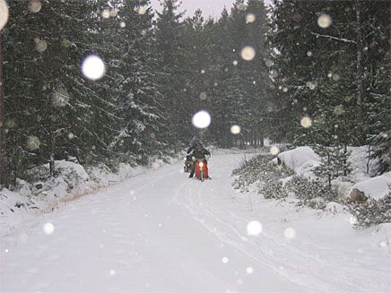 Snöflingor stora som dasslock.