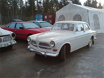 Jag var ute i dag (061229) och fotade lite amazoner. Hittade bara sju stycken. Alla fotade i Bålsta. Mvh Stefan Öberg.