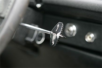 Finlemmade detaljer.