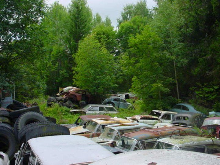 Morkarla 2004