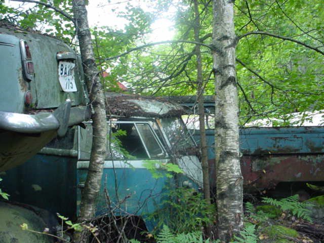 VW buss