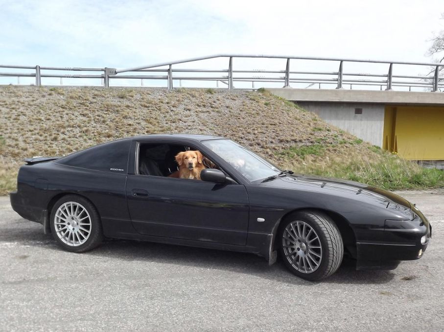 Blivande klassiker? Nissan 200SX som är i det sällsynta skicket att den klarat sig undan som en helt oskruvad och otrimmad bil.