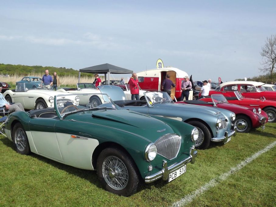 Austin Healey däremot skrev in sig i historieböckerna redan som nya, både tilltalande vacker och potent skördade den stora tävlingsframgångar i sin tid, och gör så ännu i historisk racingsammanhang. På tjolöholm dyker de upp i stora flockar för allas trevnad.