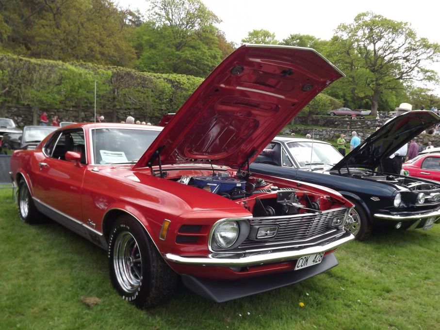 I ponnyhagen, Mustangklubben har sin givna plats varje år och brukar samla en stor flock med Mustanger av olika årgångar, här en fin Mach 1 fastback 1970.
