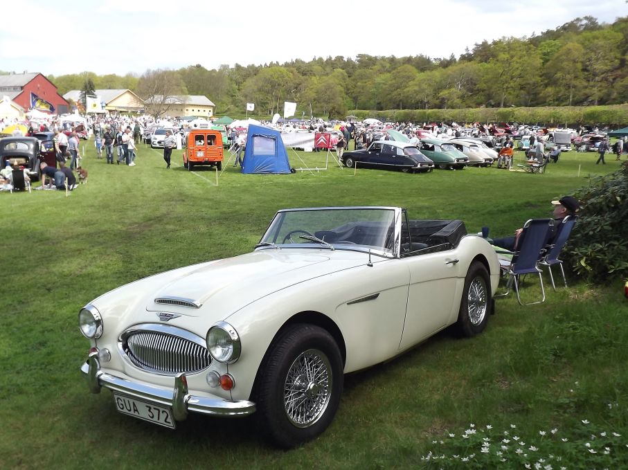 Också öppen, vit och engelsk, Austin Healey 3000 vilar i skuggan av fältet.