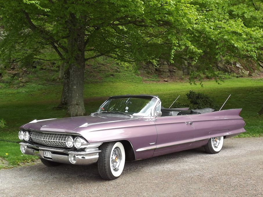 Fina fenbilar på slottsterasssen cadillac series 62 1961