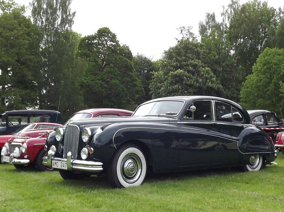 Engelsk elegans, Jaguar km VII 195