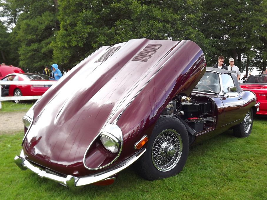 E-type, med en av världens största och mest opraktiska motorhuvar.